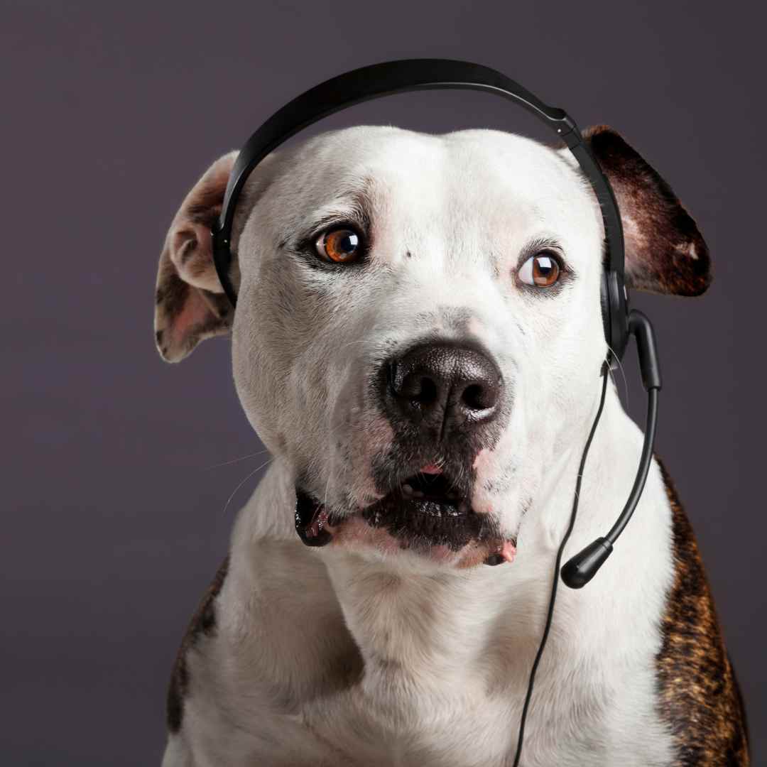 telefoon Spiegel je bewust, wandel je eigen pad